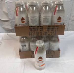 2x 12-16.9oz WahiWater-Immunity