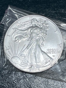 2024 Silver Eagle