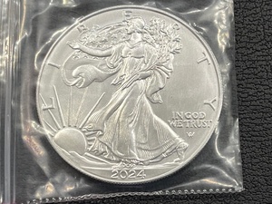 2024 Silver Eagle