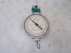lot 58 image: American Family Scale