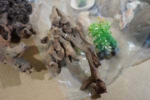 lot 236 image: Hermit Crab Tank Dcor