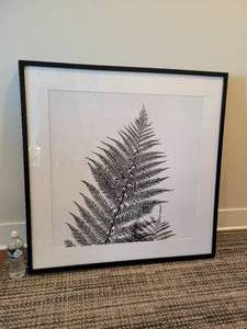 Fern Art. Nicely Framed and Matted.