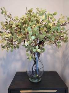 Large clear vase with greens.