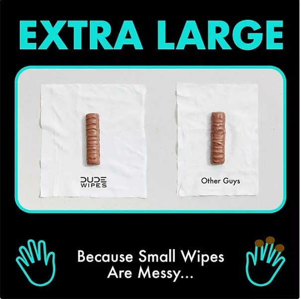 lot 394 image: NEW DUDE Wipes Flushable Wipes, Extra Large, Mint Chill Wipes (400 ct.)