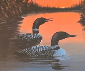 lot 127 image: Loon Limited Edition Signed Print by Beverly Scalze