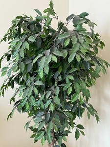 lot 41A image: Faux Tree