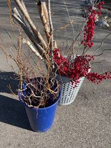 lot 263 image: Birch Branches, Curly Willow Branches and More