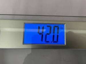 lot 289 image: Eatsmart Digital Precision Scale Model ESBS-01