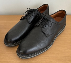 lot 303 image: Allen Edmonds Shoes