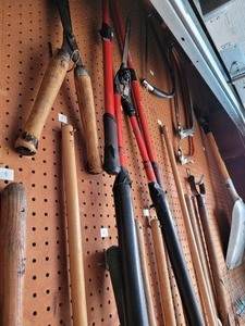 lot 34 image: Shovels, Rakes, Brooms, Saws, Clippers