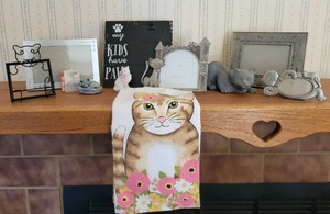 Cat Lovers Collection