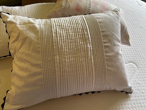 Vera Wang and Others Decorative Pillow Collection