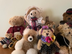 Bears Bears & More