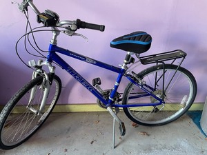Trek Navigator 300 Bike