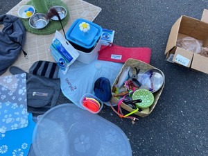 Cat Supplies, water system, mats, toys, bowls & more