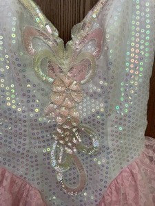 A Princess Dress