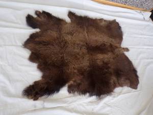 lot 89 image: Buffalo Hide Wall Display from Wyoming