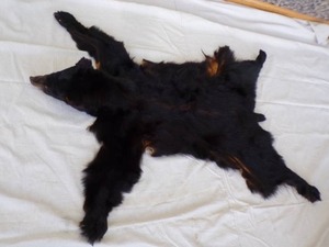 lot 79 image: Black Bear Rug