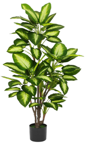 lot 241 image: Golden Dieffenbachia in Pot 4ft Tall Artificial Silk Plants