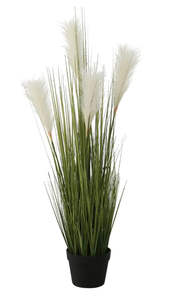 lot 244 image: Realistic Faux Pampas Grass House Plant