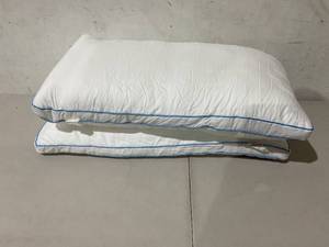 lot 420 image: Set of 2 Pillows Measures 32 x 16