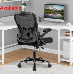 lot 395 image: Winrise Mid-back Ergonomic Chair - BLACK