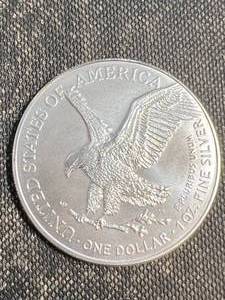 2024 AMERICAN SILVER EAGLE 1 TROY OZ .999 FINE SILVER