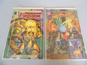 The Strangers #2, Firearm #2,