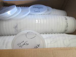 lot 42 image: Plastic Containers, Bottles, Trays...