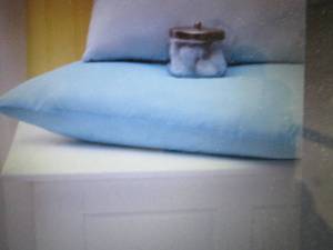 lot 53 image: Case of 12 Medline Ovation Pillow B...