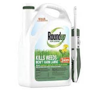 lot 63 image: Roundup 1 Gal. For Lawns, Ready-To-Use with Extend Wand, Tough Weed Killer for Use On Northern Grasses