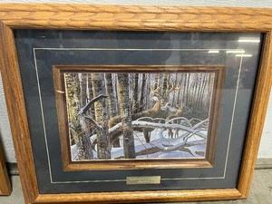 2 wild life picture   relisted due to a no show