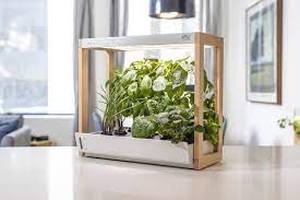 Rise Gardens Personal Garden and Starter Kit