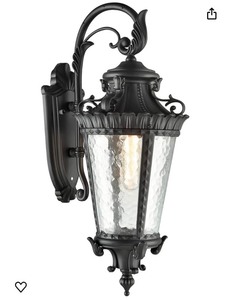 Samteen 21.36 Outdoor Wall Light Fixture -Black