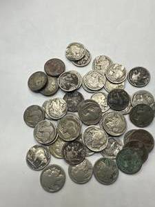 Lot of 50 Buffalo Nickels