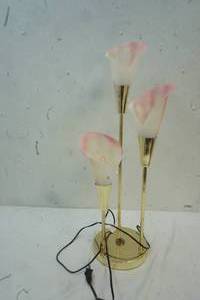 lot 67 image: Canna Lilly Lamp