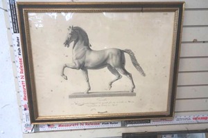 lot 162 image: Cavallo Horse Picture