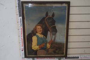 lot 184 image: Framed Picture of Black Beauty