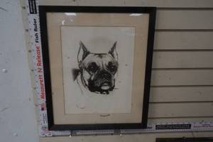 lot 206 image: Framed Picture of a Dog