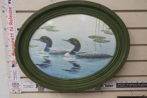 lot 217 image: Framed Picture of Loons