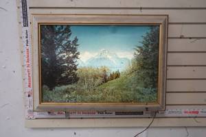 lot 369 image: lighted picture