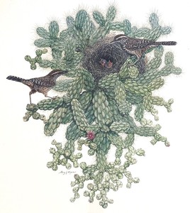 lot 90 image: Arizona-Senora Desert Museum Print by Gary J. Dixon