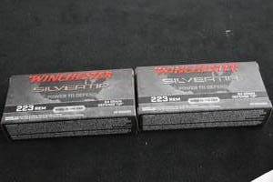 lot 172 image: Lot of (2 Boxes) Winchester Silvertip Defense Tip 223 Rem 64gr Rounds 20-count ( 40 total items )