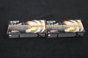lot 183 image: Lot of (2 Boxes) Federal Nosler Ballistic Tip Varmint & Predator 22-250 Rem 55gr Centerfire Rifle Cartridges 20-count ( 40 total items )