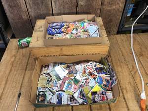 Collector Cards - Sports - Pokemon - Beanies