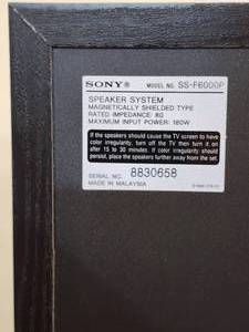 lot 34 image: (2) Sony Tower Floor Speakers