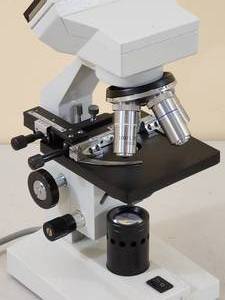 lot 45 image: Electric Scientific  Am Scope