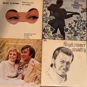 LOT OF VINYL RECORDS - Vinyl Legends Musical Tapestry of Timeless Artists