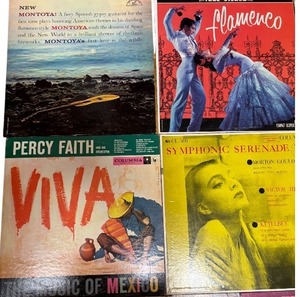 LOT OF VINYL RECORDS - Vinyl Chronicles A Melodic Odyssey Across Generations