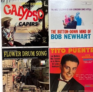 LOT OF VINYL RECORDS - Vinyl Vault Journey Through Musical Eras with Legendary Artists